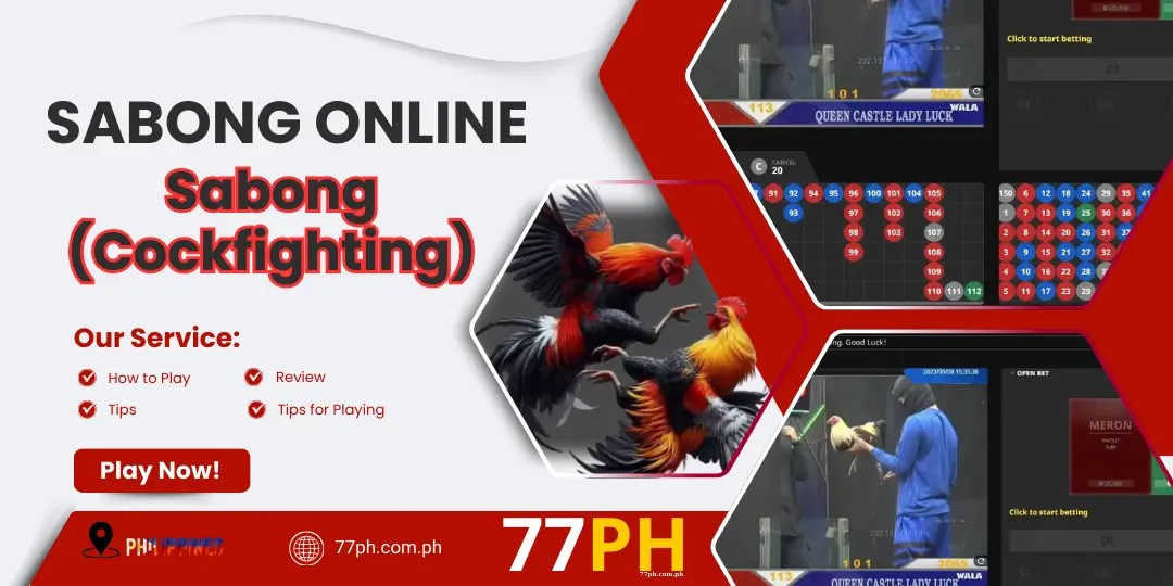 77ph Sabong - Live Sabong Guide: Intro, Tips & How to Play 7 Cockfighting at 77ph
